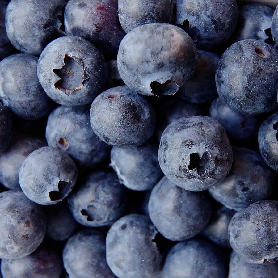 Do Blueberries Help Older People with Memory? The People's Pharmacy