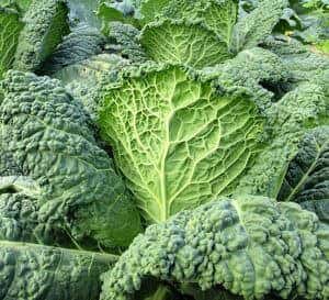 Vitamin visual data 2