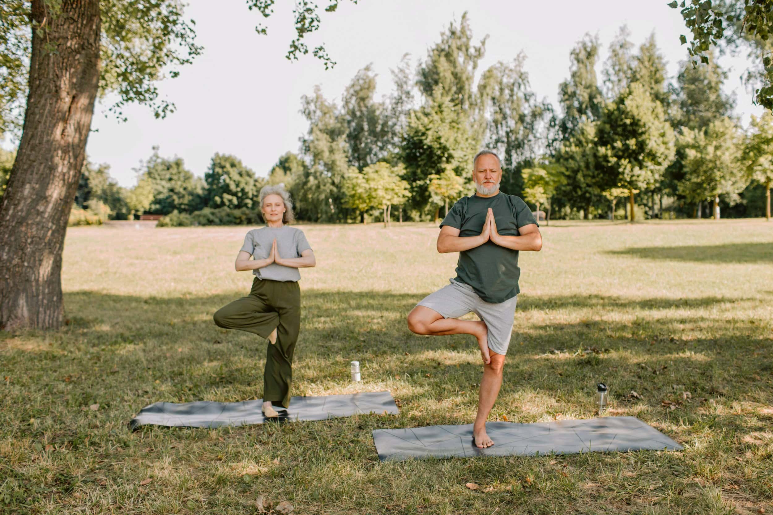 Older couple practicing yoga in a park, holding tree pose on mats under a tree.