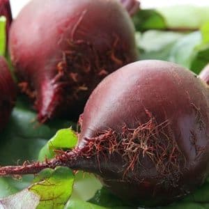 beets