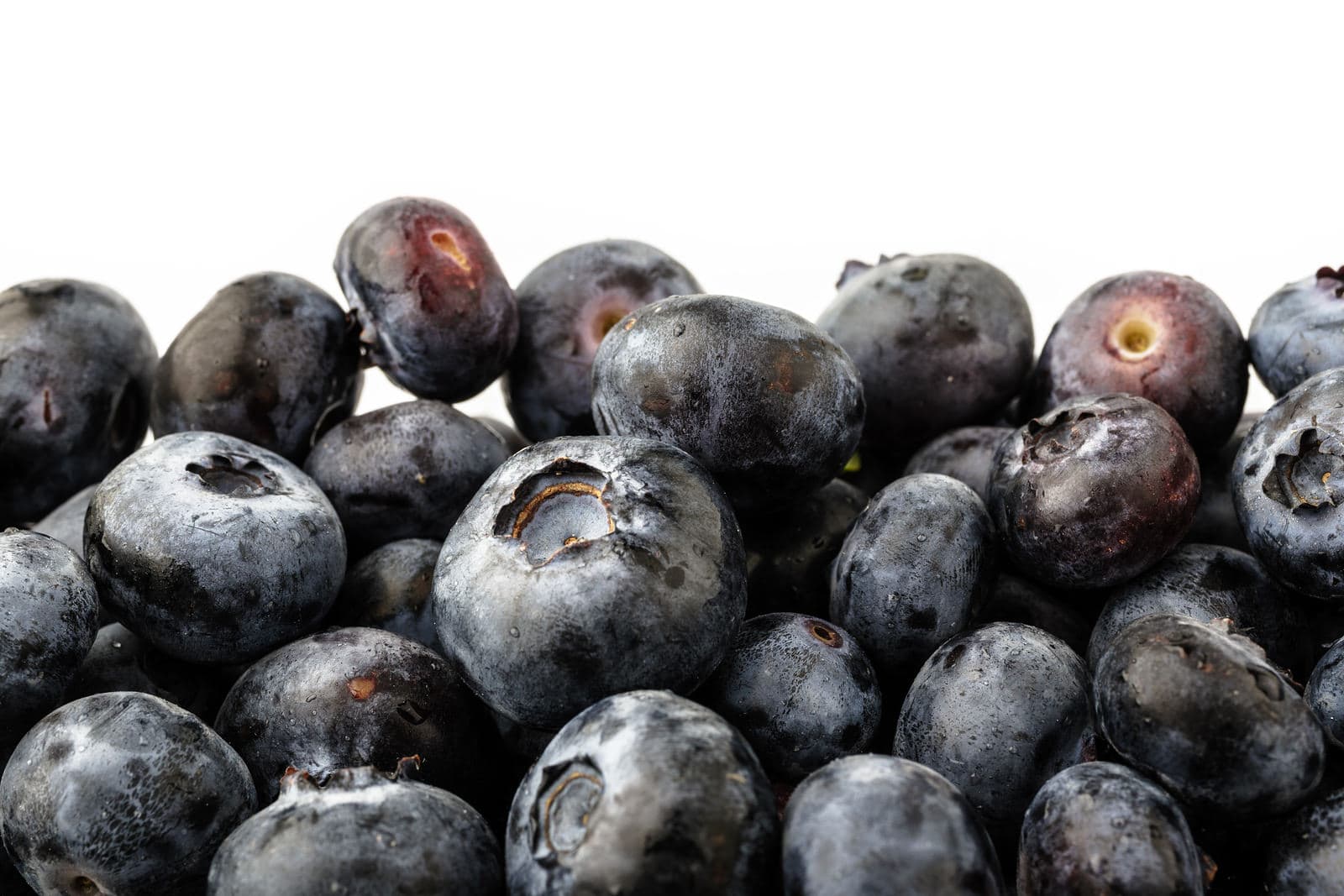 Can Bilberry Extract Help Protect the Eyes? The People's Pharmacy