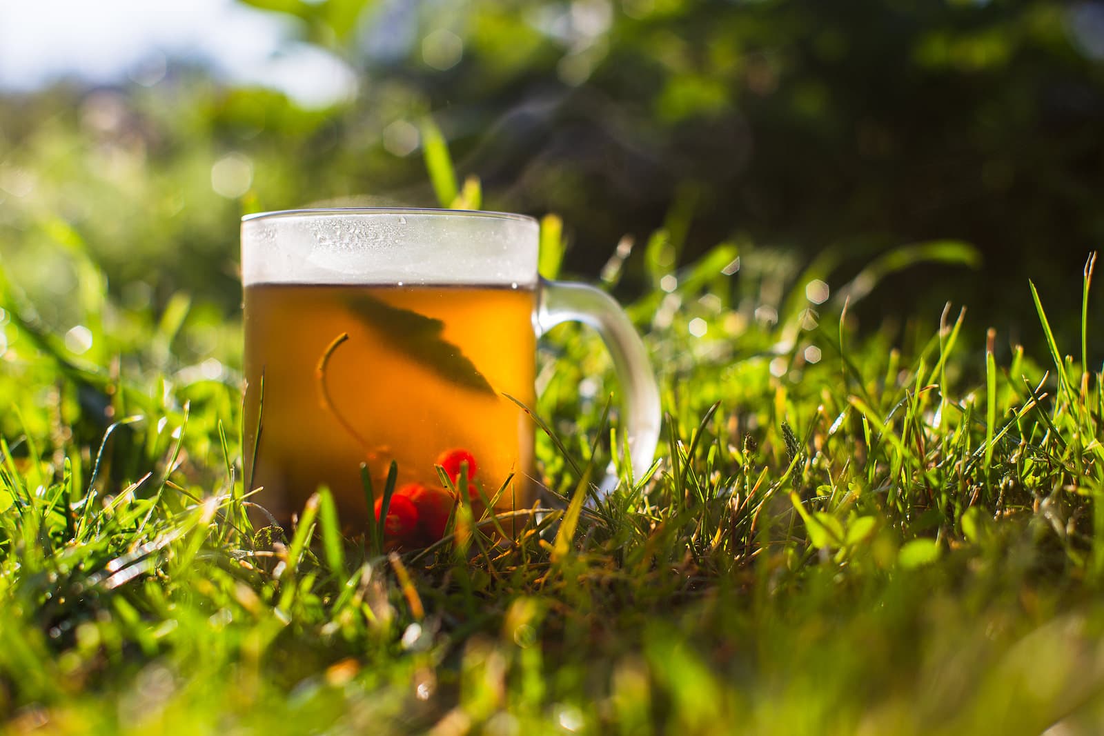 Transparent mug with fresh hot berry black tea and currant. An invigorating drink in the early morning in nature with the rays of the warm sun.
