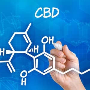 Hand with pen drawing the chemical formula of CBD (cannabidiol) approved as Epidiolex