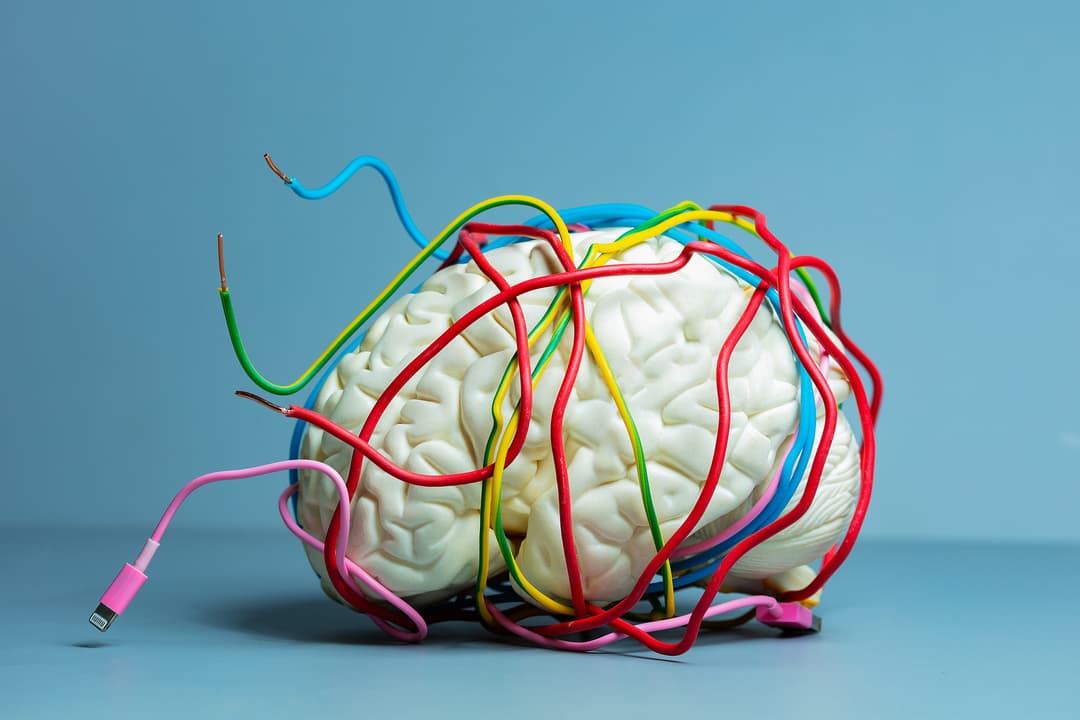 Concept of digital confusion brain trapped in wire
