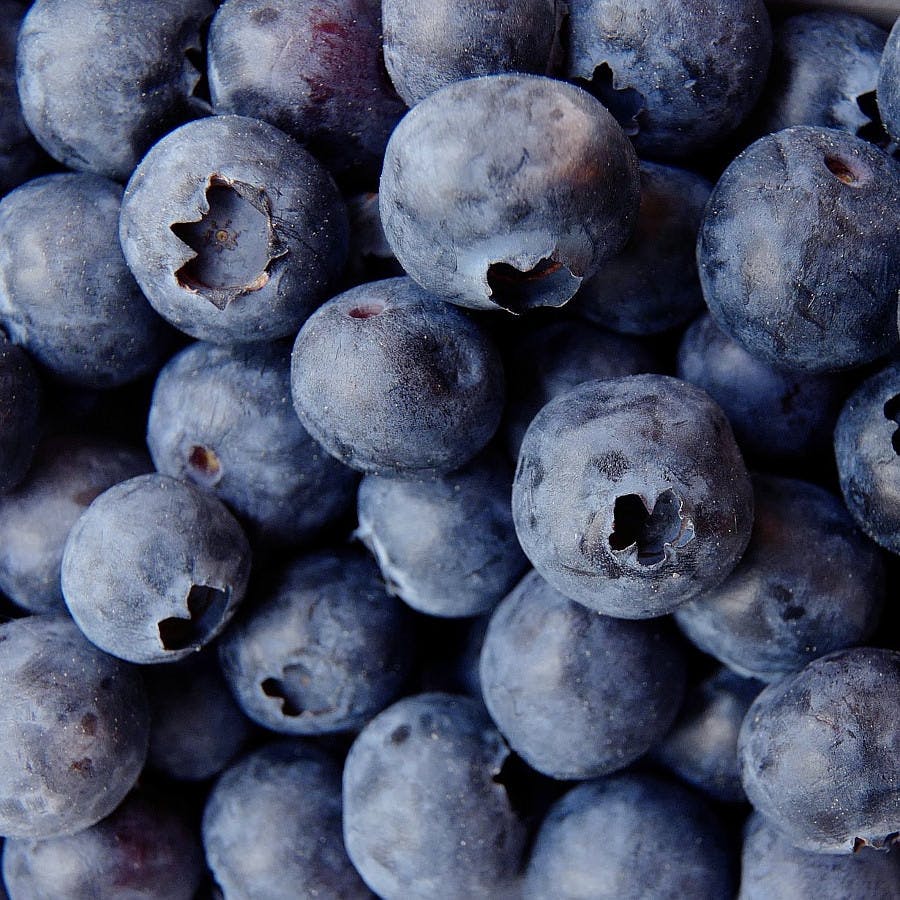 close up of blueberries