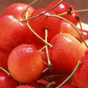 tart cherries belong with natural approaches for arthritis