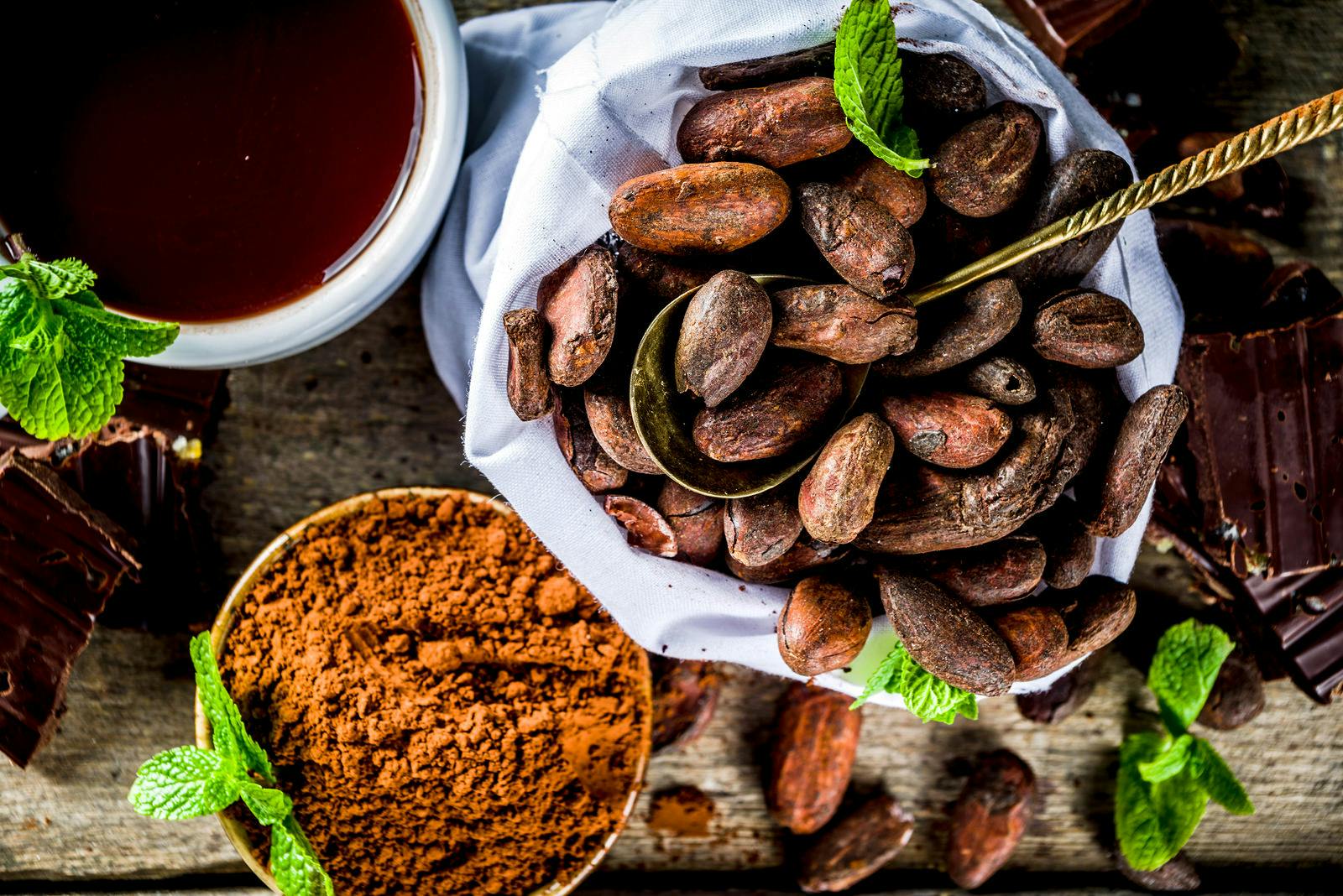 Different conditions of cocoa. Various cocoa &#8211; beans, beans, ground, crushed cocoa powder, chocolate paste, chocolate pieces and hot chocolate in a cup. On a wooden rustic background with copy space for text
