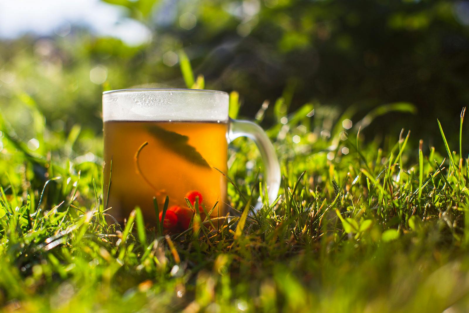 Glass mug with tea in grass contains berries rich in flavanols
