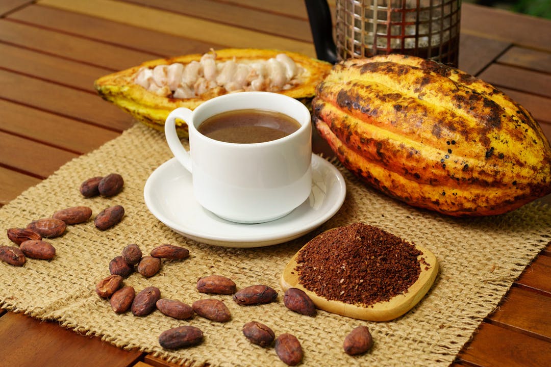 Hot brewed cacao drink, raw cocoa fruit, cacao beans, nibs on table
