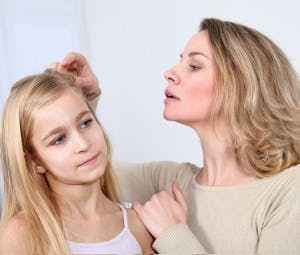 Checking for lice, get rid of lice nit
