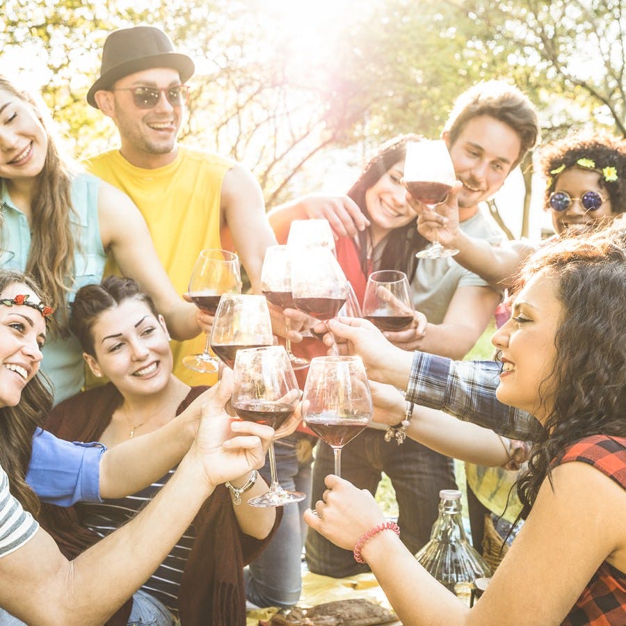 Group of friends toasting red wine having fun outdoor cheering at bbq picnic &#8211; Young people enjoying summer time together at lunch garden party &#8211; Youth friendship concept &#8211; Focus on clinking glasses
