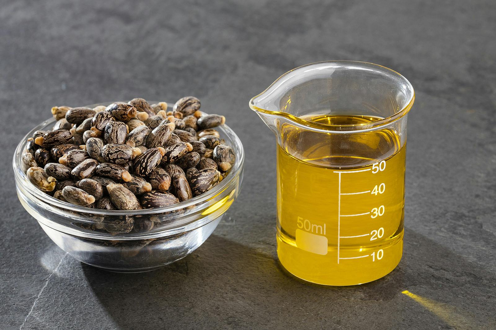 castor beans in a bowl and castor oil in a glass beaker
