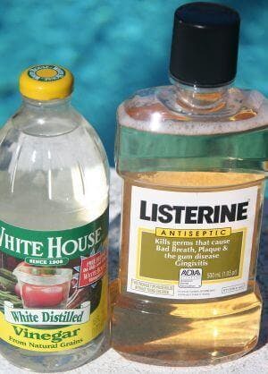 bottles of listerine and white vinegar help curing nail fungus