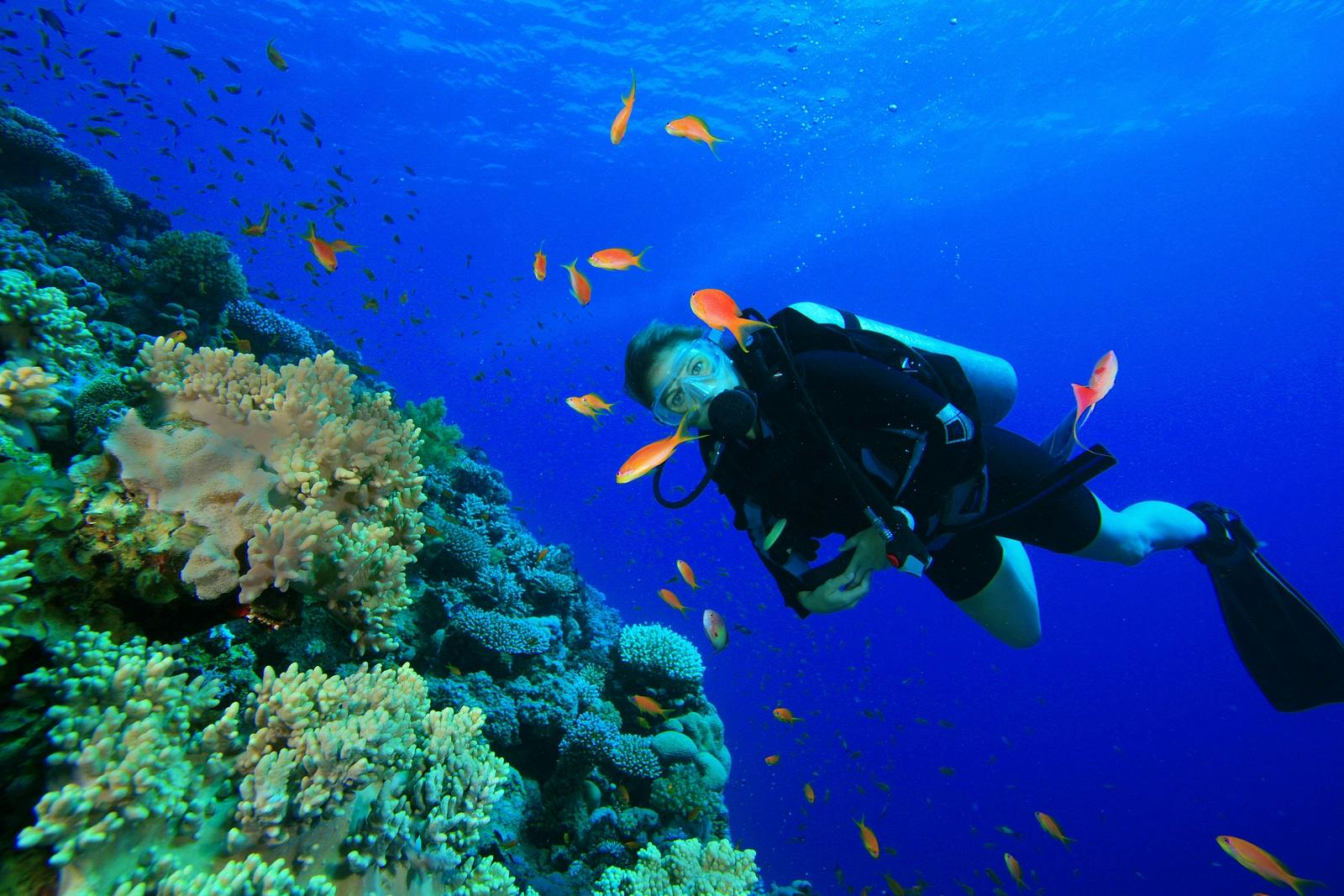 Young Woman Scuba Diver on coral reef in clear blue water
