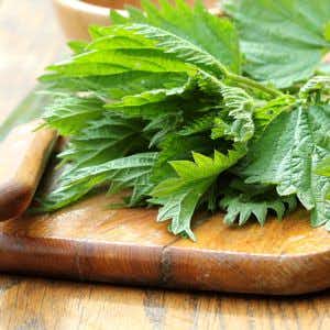 Stinging nettle on a cutting board