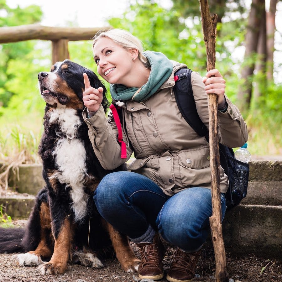 Hiking woman with rucksack and her bernese mountain dog on a trail
