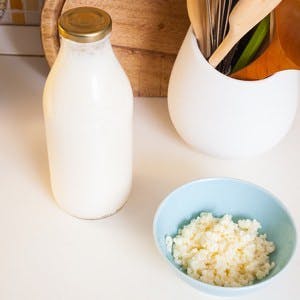 Organic probiotic milk kefir grains inside the bowl

