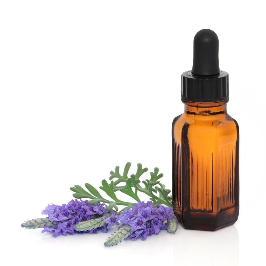 Lavender herb flower leaf sprigs with an aromatherapy essential oil dropper bottle over white background.
