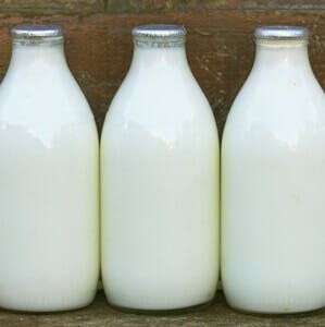 Milk bottles
