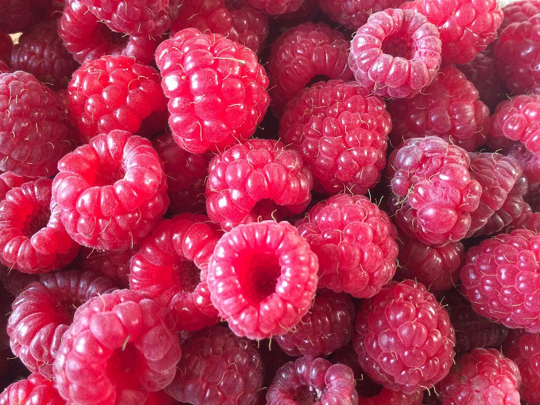 Fresh and sweet red raspberries texture background. Raspberry fruit pile background. Selection of freshly picked ripe organic raspberries background. Delicious first class raspberries heap background
