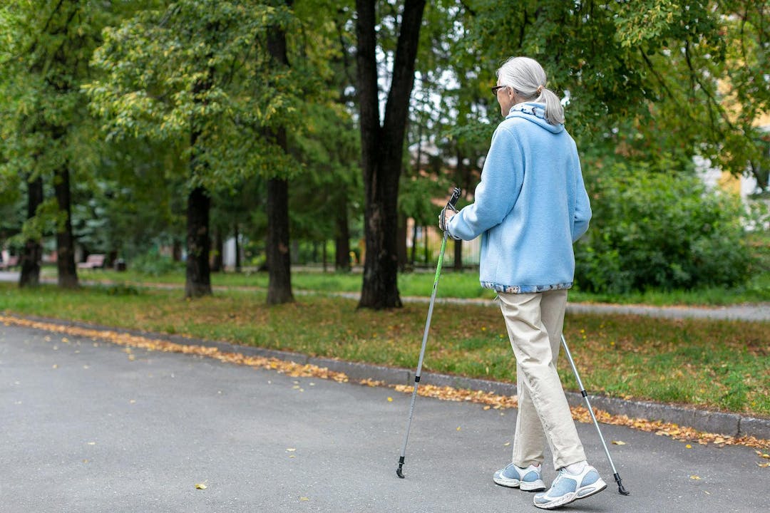 Senior woman active lifestyle. Caucasian aged lady in blue hoodie does nordic walking in the park outdoor in late summer, full length, back view, selective focus.
