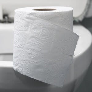 Roll of toilet paper on a toilet concept for constipation and bowel movement
