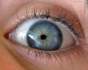Eyeball vision glaucoma retina pupil
