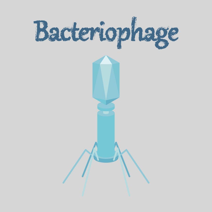 Human icon in flat style bacteriophage medical
