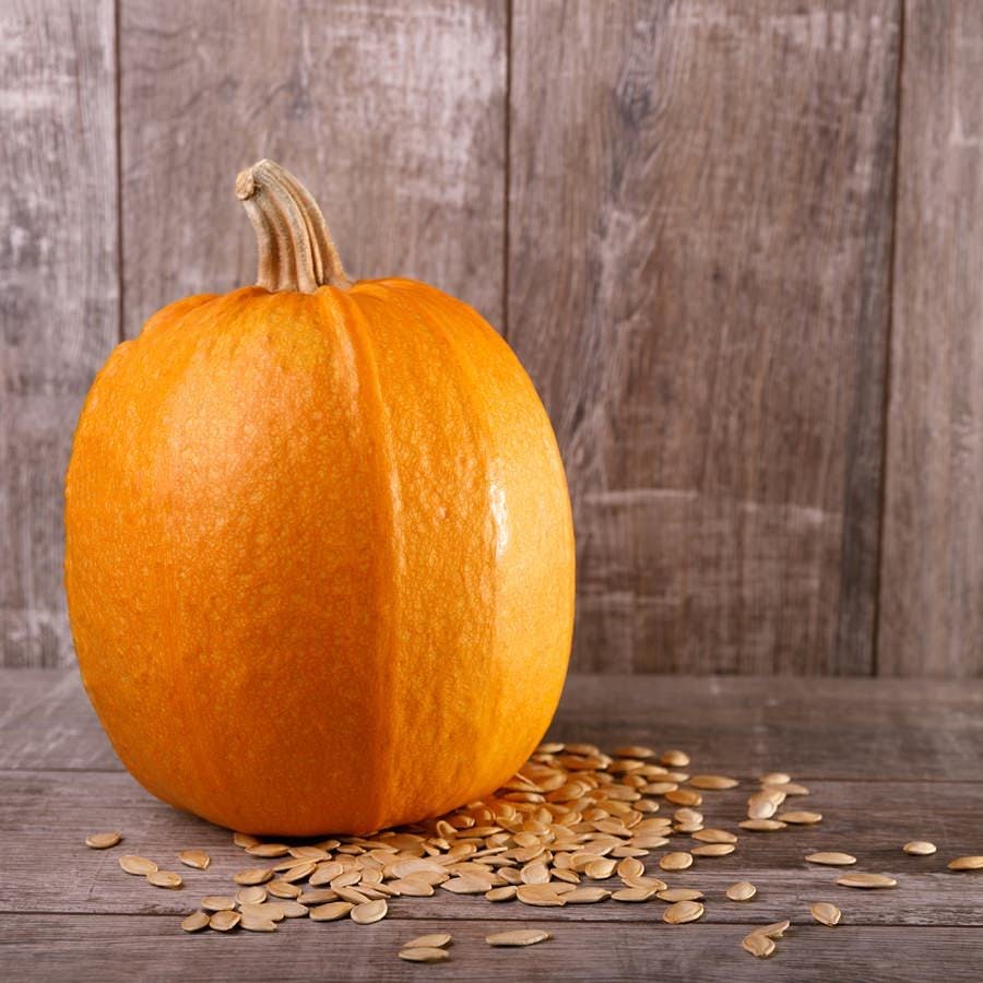 Golden autumn, large different pumpkins, Different varieties of pumpkins, a wooden cart with pumpkins
