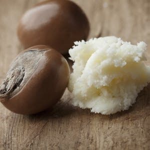 Closeup of shea butter and shea nuts
