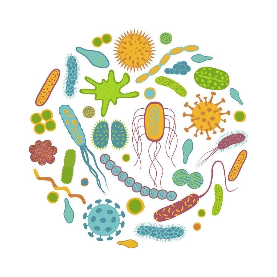 Germs and bacteria icons isolated on white background. Microbiome in flat cartoon style. Round design vector illustration of microorganisms.

