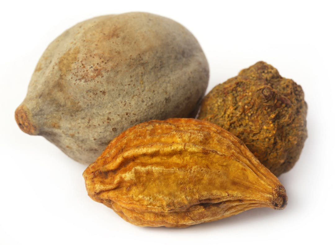 Triphala a combination of ayurvedic fruits of Indian subcontinent

